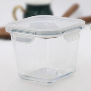 Sanjeev Kapoor Parka Borosilicate Square Container of 480 Ml